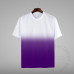 Ombre T-shirt Blank