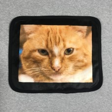Pet Small Blanket One Panel (Super soft 3 layers)