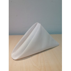 Set of 10 Cloth Napkins Serviettes Dinner Table